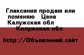 Глаксиния продам или поменяю › Цена ­ 200 - Калужская обл.  »    . Калужская обл.